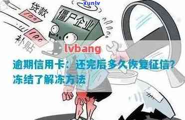 信用卡逾期被冻结还清后能否继续使用：解冻与恢复指南