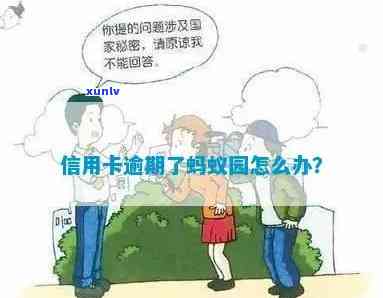 蚂蚁园信用卡逾期问谁