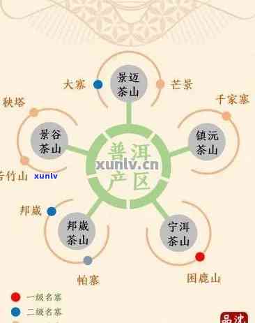 普洱茶三级和五级哪个好：等级差异与口感比较