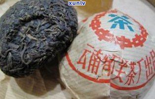 普洱茶三级与五级的区别：口感、香气与功效的全面对比，哪个更适合您？