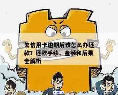 信用卡逾期全都还钱了怎么办？如何办理相关手续？