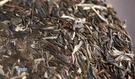 普洱茶价位合适范围：口粮茶与收藏级的价位是多少？