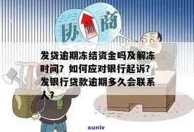 信用卡贷款逾期导致个人资产被法院冻结，如何向银监会申诉并解决问题？