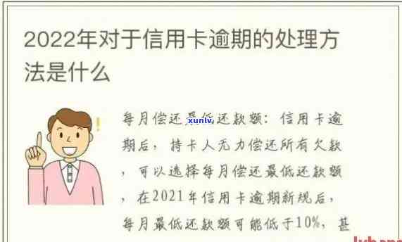 中介未按时偿还信用卡欠款，如何应对逾期问题？