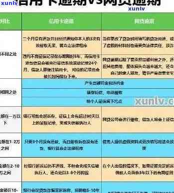 信用卡逾期利息退款政策：了解详情及处理途径