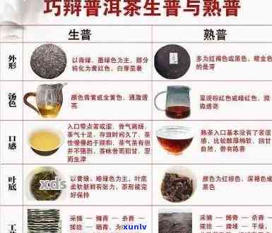 全面解析：优质普洱茶品种及其厚德载物特点，助您轻松挑选心仪之选