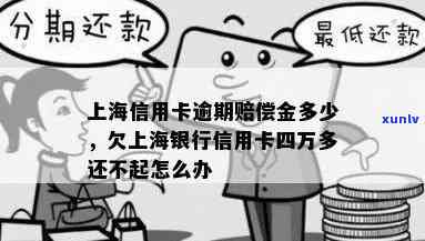 上海信用卡逾期十万