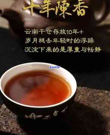 阿里普洱茶60年经典念款：品味时光，传承经典