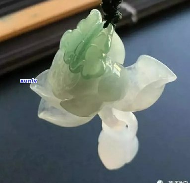 翡翠荷花摆件的寓意与象征：展现自然之美与高雅品格