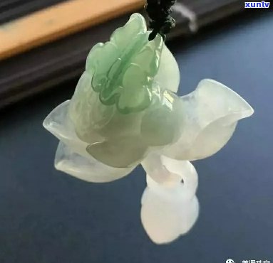 翡翠荷花摆件的寓意与象征：展现自然之美与纯洁之心