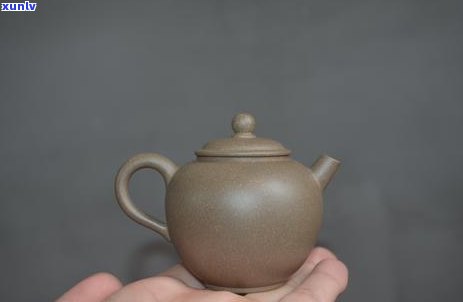 探究普洱茶饼冲泡技巧：十年陈年老茶的品饮之道