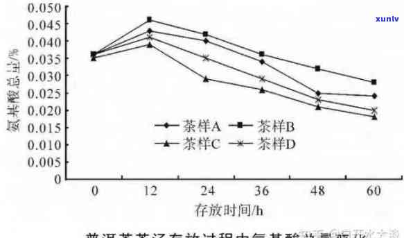 普洱茶一天饮用量：科学指南与个人体质因素的综合考虑