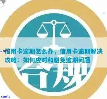 信用卡逾期申诉指南：如何解决逾期问题并避免进一步影响信用？