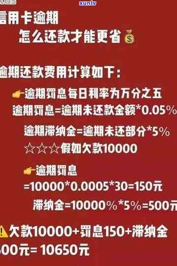 信用卡网贷逾期解决方案全面指南：如何避免、处理和规划还款计划