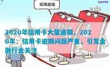 2020年信用卡逾期现象全面解读：原因、影响与解决方案