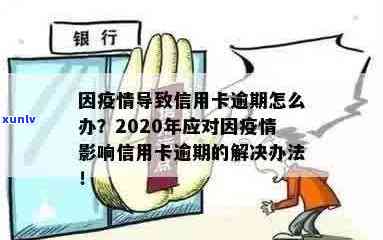 2020年信用卡逾期现象全面解读：原因、影响与解决方案