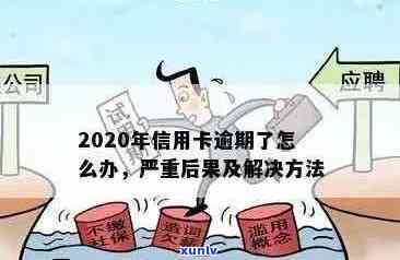 2020年信用卡逾期现象全面解读：原因、影响与解决方案