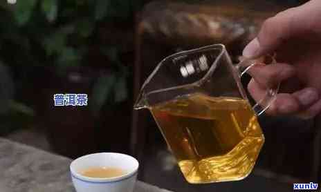 '5克普洱茶泡多少次喝：最全泡法与水量解析'