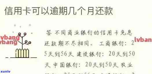 '还信用卡几点之前必须到账' - 还信用卡何时必须到账？