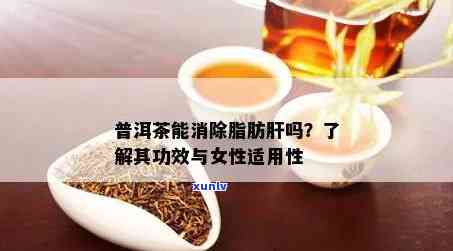 普洱茶与脂肪肝：一份全面的饮用指南