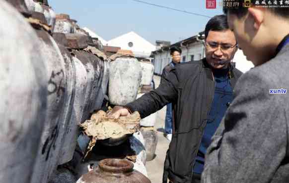 探寻茶文化：在圣彼得堡选购独特普洱茶之旅