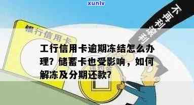 工行信用卡逾期半年后解冻：全面指南与解决方案，了解详细步骤及影响