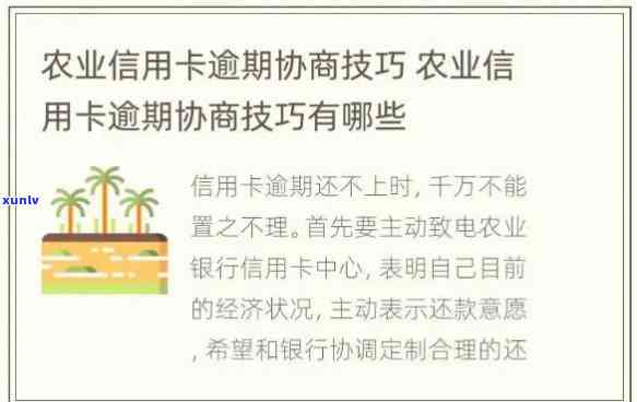 农业信用卡逾期还款问题全面解析：如何避免停息、期还款以及解决 *** 