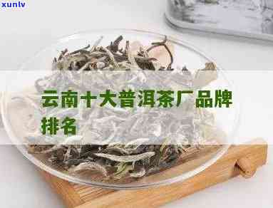 云南普洱茶十大二茶厂盘点：、排名、评选一览