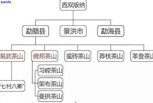 普洱茶名寨排名一览：全方位指南帮助您挑选茶园体验与茶叶品质