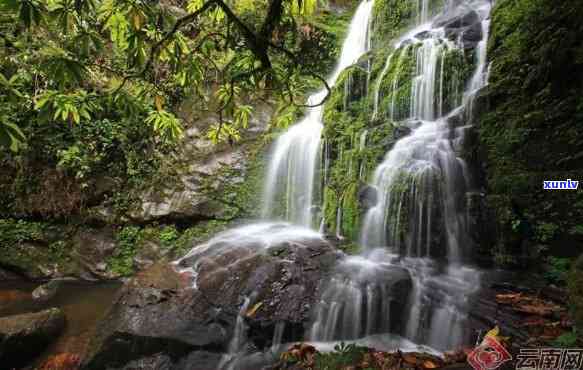 百花岭云南： 云南保山的生态旅游与自然保护区