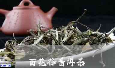 百花岭普洱茶可以吗