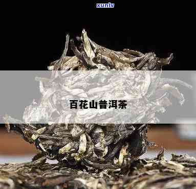 百花岭普洱茶可以吗