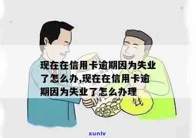 信用卡逾期后失业怎么办？全面指南应对信用卡逾期与失业问题