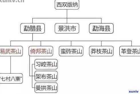 云南普洱茶茶区：探索茶叶产区、品质与泡法，了解当地文化与历