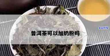 沏普洱茶放奶可以吗