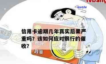 关于信用卡逾期政策的最新解读：真实情况如何？