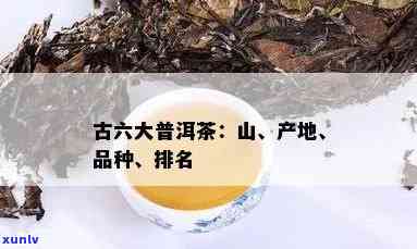 普洱茶名山大全：6大顶级产地详解，带你了解普洱茶的品质与魅力