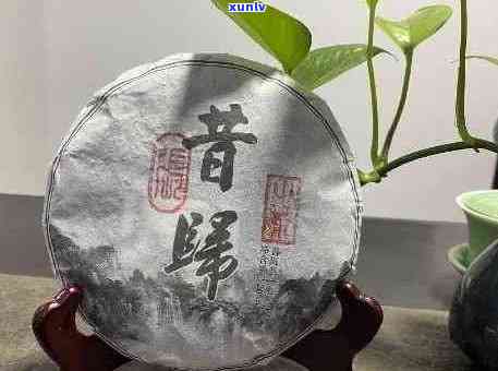 百茶堂珍选普洱茶：古树茶香，品味醇厚人生