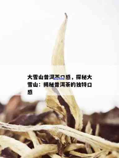 大雪山普洱茶：口感独特，解析其深厚的文化底蕴与生长环境之美