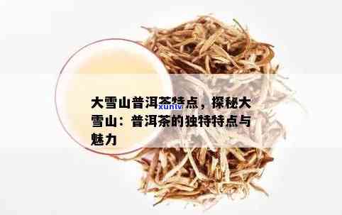 普洱大雪山茶怎么样：好喝吗？特点和口感简介