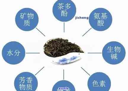 喝普洱茶的五大成分是什么，普洱茶有什么成分和功效