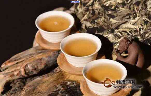 普洱茶的全面解析：成分、功效与应用