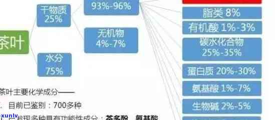 普洱茶的全面解析：成分、功效与应用