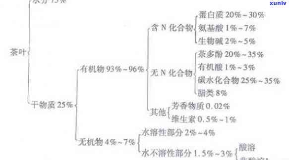 喝普洱茶的五大成分