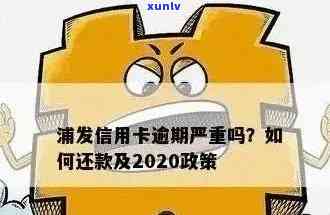 浦发信用卡逾期问题解决方案：协商、调解与还款技巧详细指南