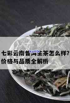 云南七彩普洱茶全方位解析：价格、品质、功效与选购指南