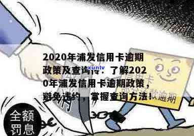 当地机关将逾期信用卡支付令送至户所在地，用户需了解应对措