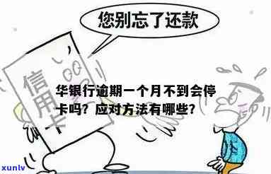 华信用卡逾期被停了怎么办？5天忘记还后的影响及解决 *** 