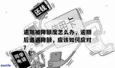 逾期被降额度怎么办：逾期还款会降额度吗？逾期降分如何一次涨回？