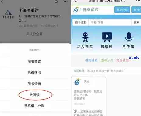 全面了解虚拟信用卡逾期记录：原因、影响与解决方案